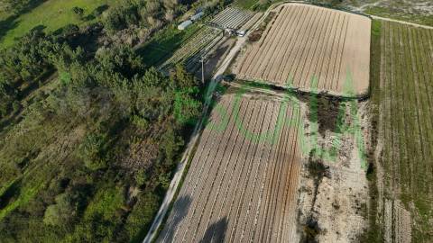 Terreno de 26.600 m² com viabilidade de construção