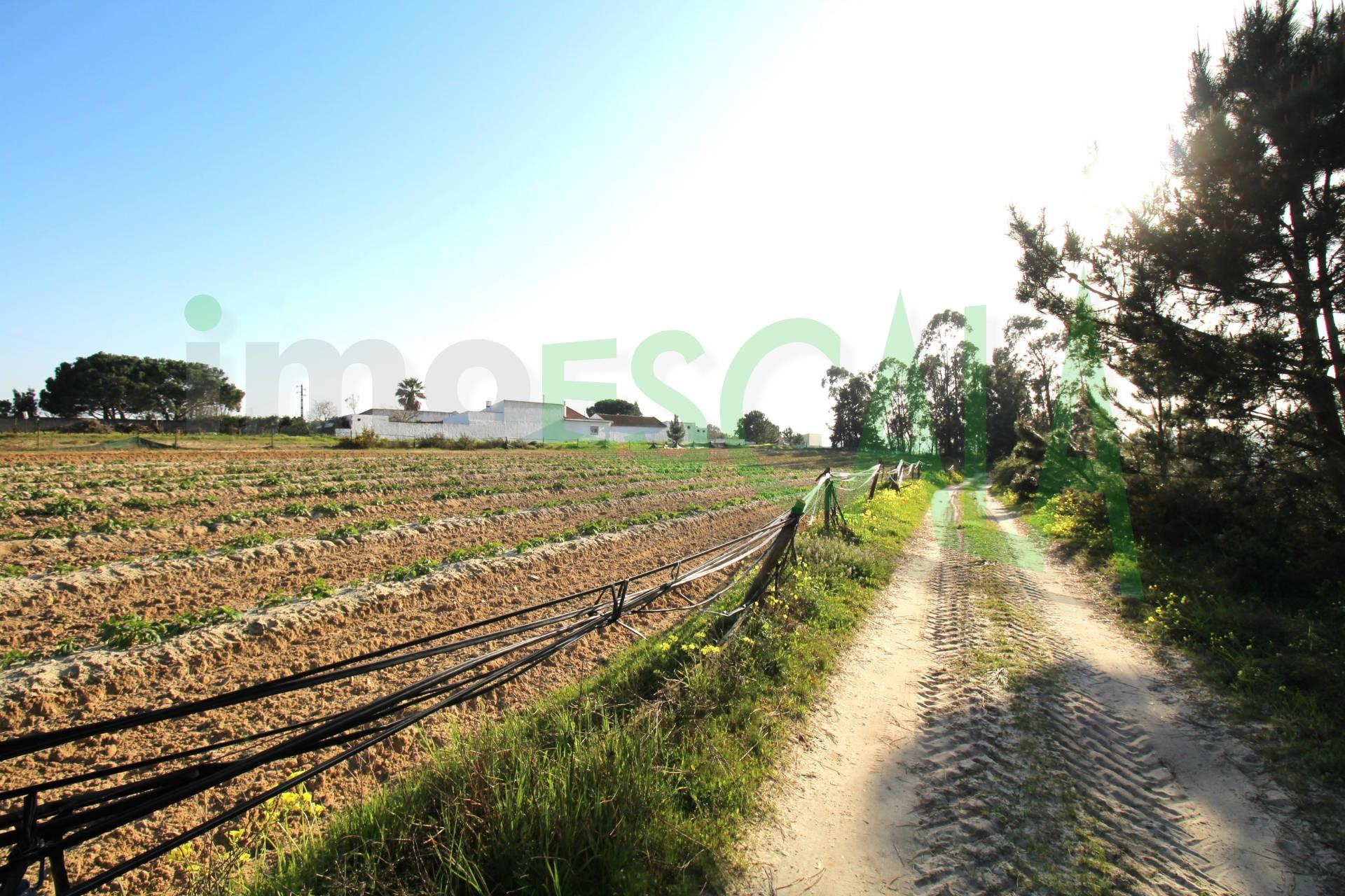 Terreno de 26.600 m² com viabilidade de construção