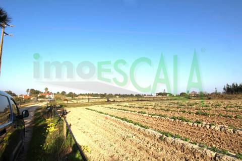 Terreno de 26.600 m² com viabilidade de construção