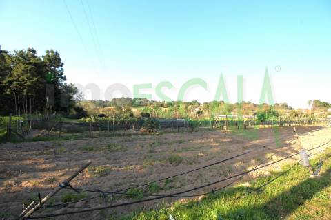 Terreno de 26.600 m² com viabilidade de construção