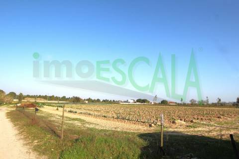 Terreno de 26.600 m² com viabilidade de construção