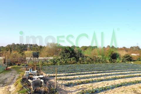 Terreno de 26.600 m² com viabilidade de construção