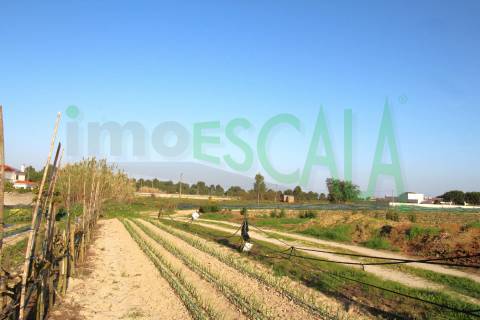 Terreno de 26.600 m² com viabilidade de construção