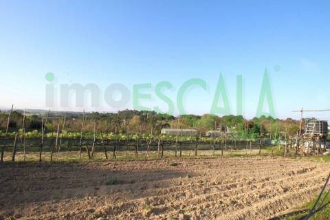 Terreno de 26.600 m² com viabilidade de construção