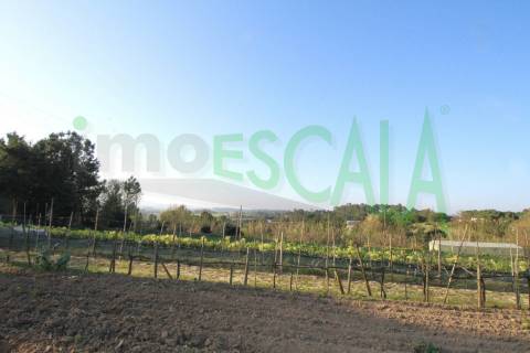 Terreno de 26.600 m² com viabilidade de construção