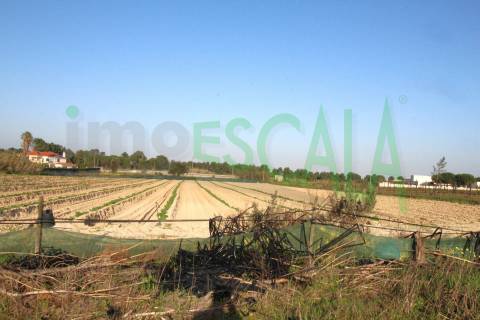 Terreno de 26.600 m² com viabilidade de construção