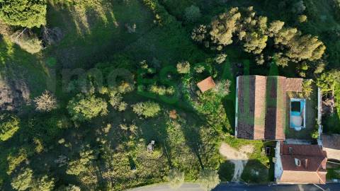 Moradia T5 com Piscina e Jardim