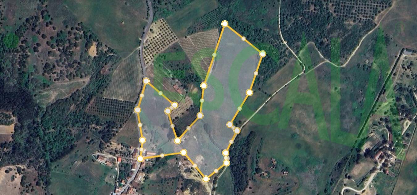 Moradia T5 com Piscina e Jardim