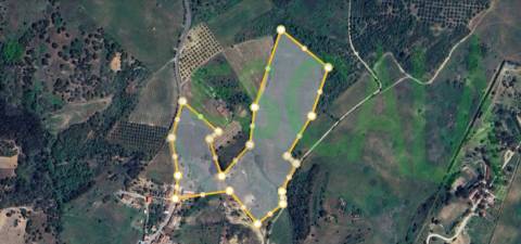 Moradia T5 com Piscina e Jardim