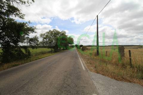 Terreno em Benavente para fins industriais ou agrícolas