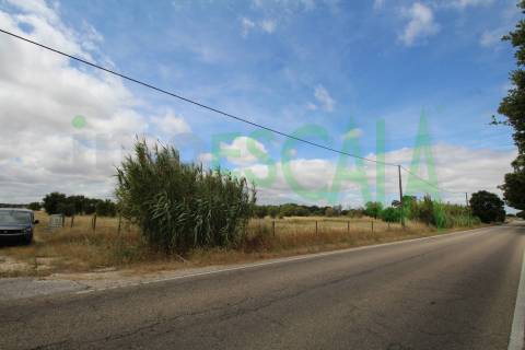 Terreno em Benavente para fins industriais ou agrícolas