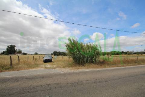 Terreno em Benavente para fins industriais ou agrícolas