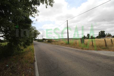 Terreno em Benavente para fins industriais ou agrícolas