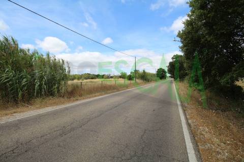 Terreno em Benavente para fins industriais ou agrícolas
