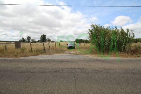 Terreno em Benavente para fins industriais ou agrícolas