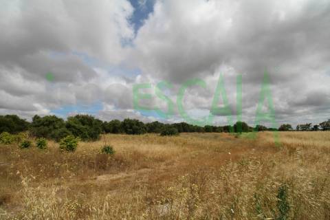 Terreno em Benavente para fins industriais ou agrícolas