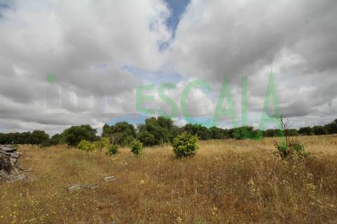 Terreno em Benavente para fins industriais ou agrícolas