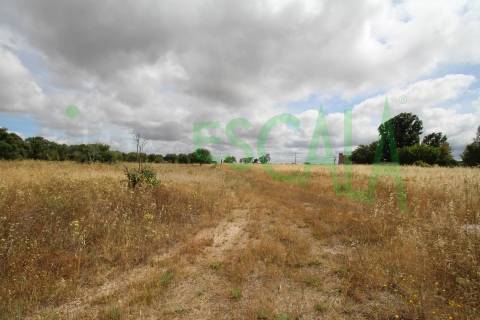 Terreno em Benavente para fins industriais ou agrícolas