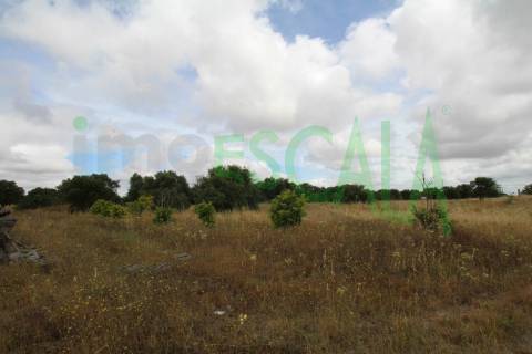 Terreno em Benavente para fins industriais ou agrícolas