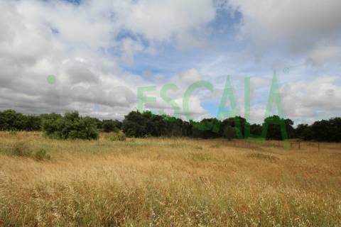 Terreno em Benavente para fins industriais ou agrícolas