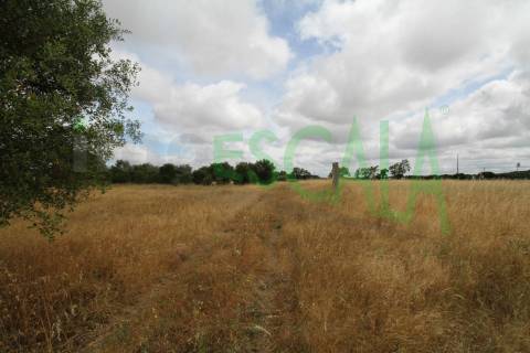 Terreno em Benavente para fins industriais ou agrícolas