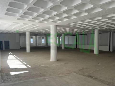 Armazém de grande dimensão no Prior Velho