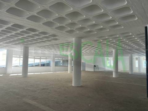 Armazém de grande dimensão no Prior Velho
