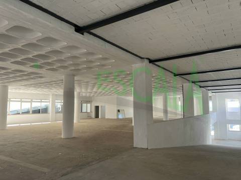 Armazém de grande dimensão no Prior Velho
