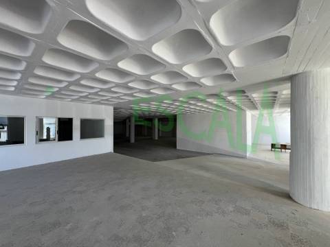 Armazém de grande dimensão no Prior Velho