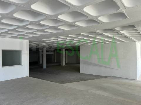 Armazém de grande dimensão no Prior Velho