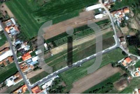 Lote de Terreno  Venda em Requeixo, Nossa Senhora de Fátima e Nariz,Aveiro