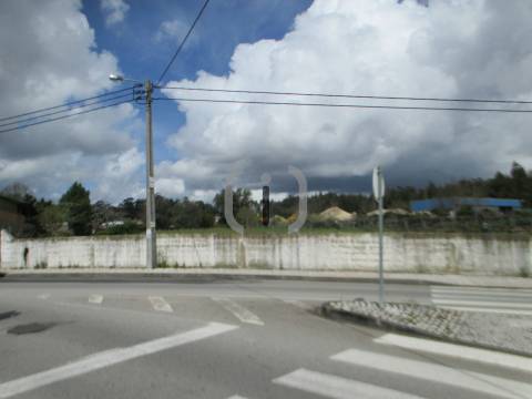 Terreno  Venda em Alquerubim,Albergaria-a-Velha