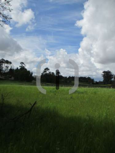 Terreno Rústico  Venda em Albergaria-a-Velha e Valmaior,Albergaria-a-Velha