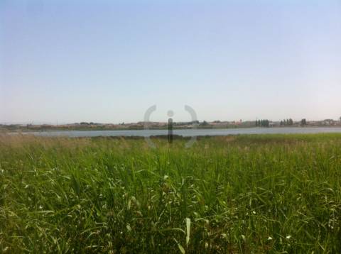 Terreno Para Construção  Venda em Ílhavo (São Salvador),Ílhavo