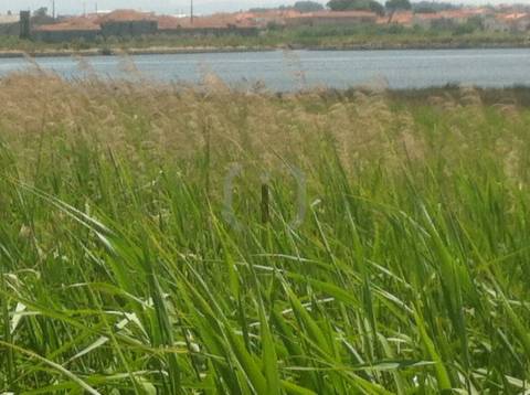 Terreno Para Construção  Venda em Ílhavo (São Salvador),Ílhavo