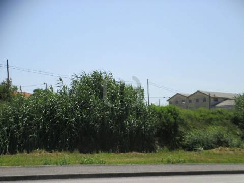 Terreno Para Construção  Venda em Glória e Vera Cruz,Aveiro