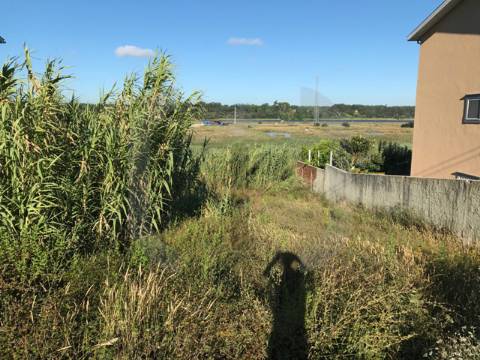 Lote de Terreno  Venda em Vagos e Santo António,Vagos