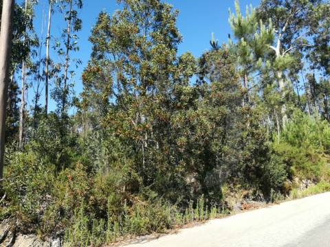Lote de Terreno  Venda em Oliveirinha,Aveiro