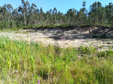 Lote de Terreno  Venda em Oliveirinha,Aveiro