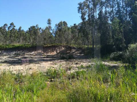 Lote de Terreno  Venda em Oliveirinha,Aveiro