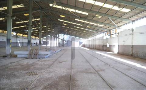 Armazém  Venda em Oliveira do Bairro,Oliveira do Bairro