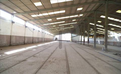 Armazém  Venda em Oliveira do Bairro,Oliveira do Bairro