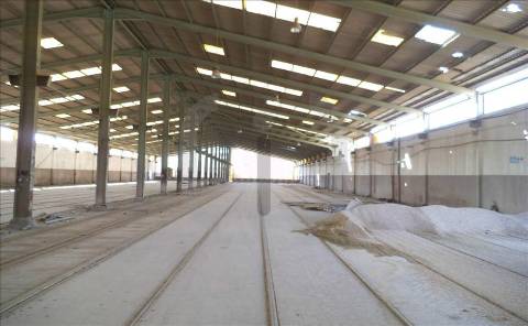 Armazém  Venda em Oliveira do Bairro,Oliveira do Bairro