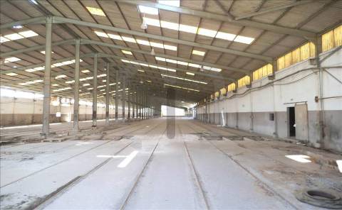 Armazém  Venda em Oliveira do Bairro,Oliveira do Bairro