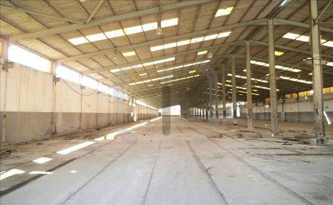 Armazém  Venda em Oliveira do Bairro,Oliveira do Bairro