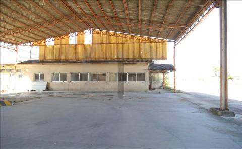 Armazém  Venda em Oliveira do Bairro,Oliveira do Bairro