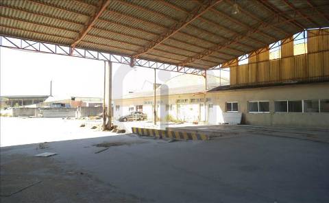 Armazém  Venda em Oliveira do Bairro,Oliveira do Bairro