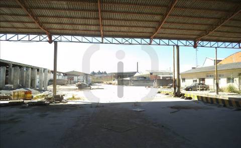 Armazém  Venda em Oliveira do Bairro,Oliveira do Bairro