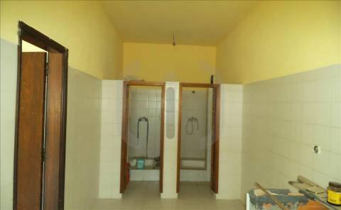 Armazém  Venda em Oliveira do Bairro,Oliveira do Bairro