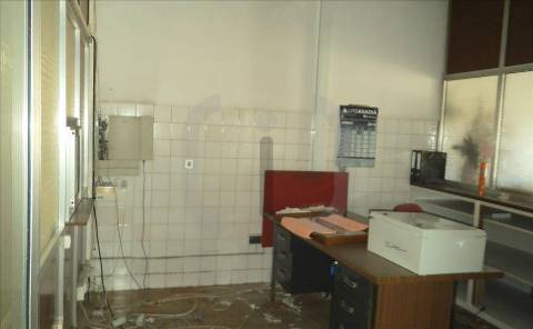 Armazém  Venda em Oliveira do Bairro,Oliveira do Bairro